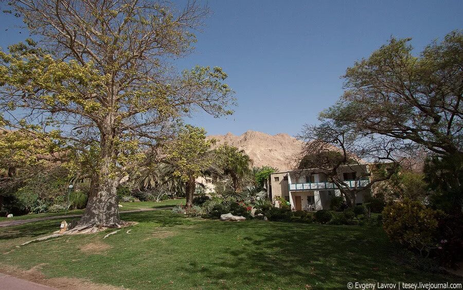 Кибуц мерхавия. Кибуц 2022. Кибуц галуйот. Кибуц шилер. Кибуц гешер.