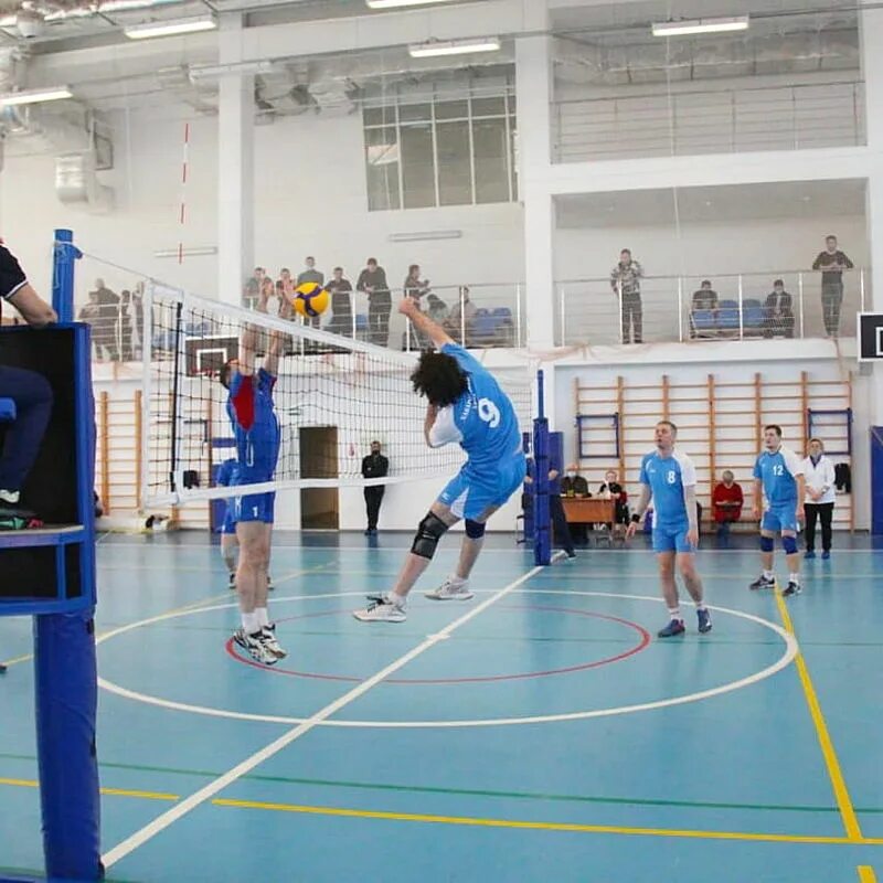 волейбол хабаровск