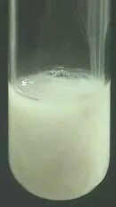 Реакция нитрата свинца и сульфата натрия. Baso4 осадок. Сульфат свинца 2 цвет. Сульфат железа 2 цвет осадка. Сульфат бария цвет осадка.