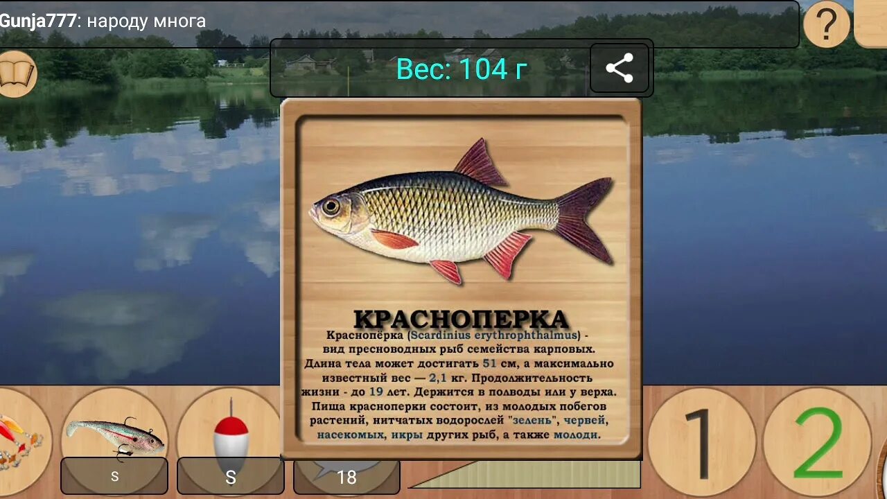 турниры * РУССКАЯ РЫБАЛКА