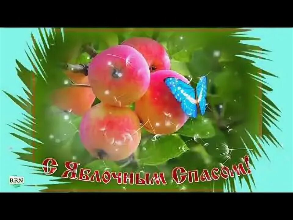 Спас 2025. Яблочный спас. яблоневый спас. открыточки с яблоневым спасом. открытка яблочный спас с праздником.