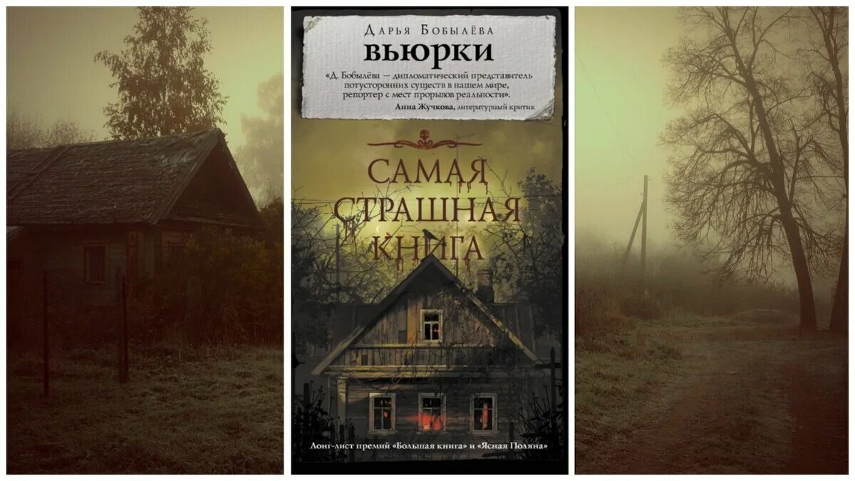 Вьюрки аудиокнига. Вьюрки аудиокнига. Вьюрок рисунок. Вьюрки аудиокнига. Бобылева вьюрки книга.