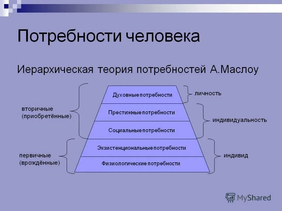 что удовлетворяет потребности общества. варианты удовлетворения. удовлетворение потребностей человека. икигай интерьер. пирамида потребностей маслоу.