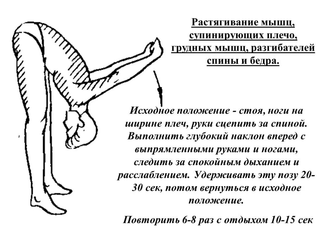 Ноги на ширине плеч руки на поясе. Упор стоя прогнувшись. Сгибатели стопы мышцы упражнение. Исходное положение стоя ноги. Стоя руки на поясе.