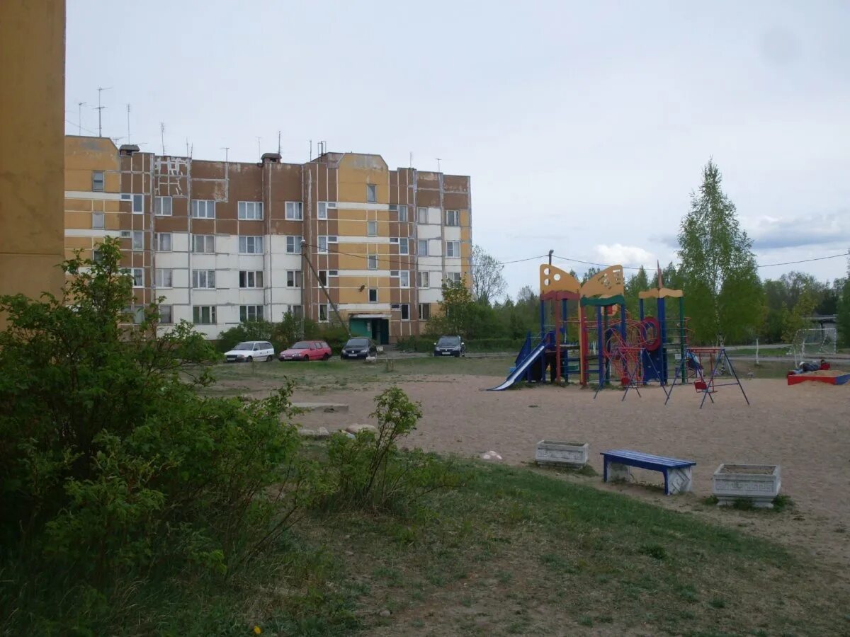 Совхоз житково ленинградская область. Житково ленинградская область. Погода в житково. Погода в житково. Погода в житково.