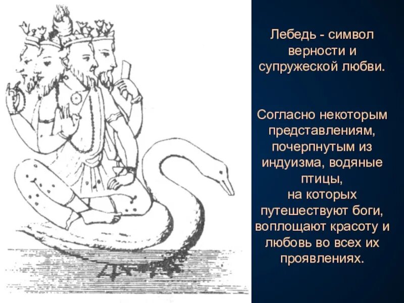 Лебедь символ чего. Лебедь символ. что символизирует лебедь. символ верности и преданности.