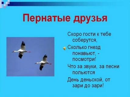 Пернатые гости 3 класс