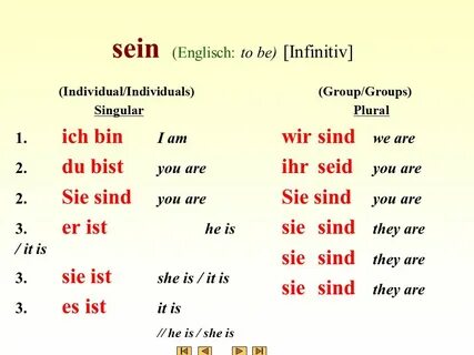 Wir sind des текст
