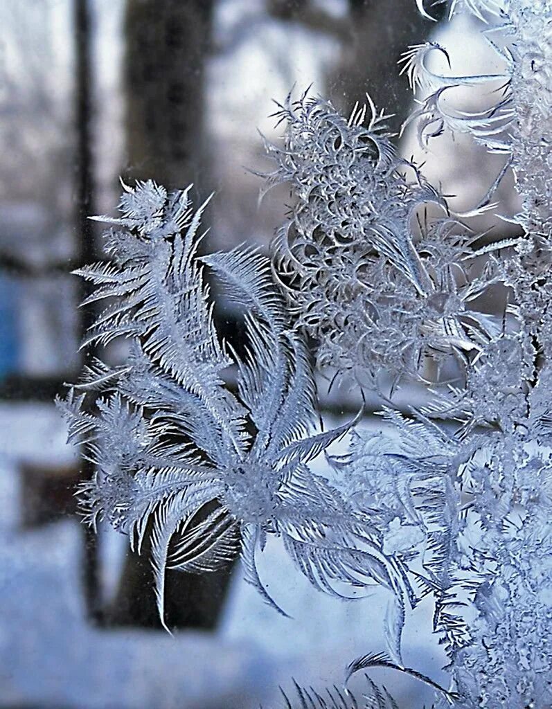 Картинка мороз. Константин Бальмонт морозные узоры. Зимние узоры. Морозные узоры. Узоры на окнах от Мороза.