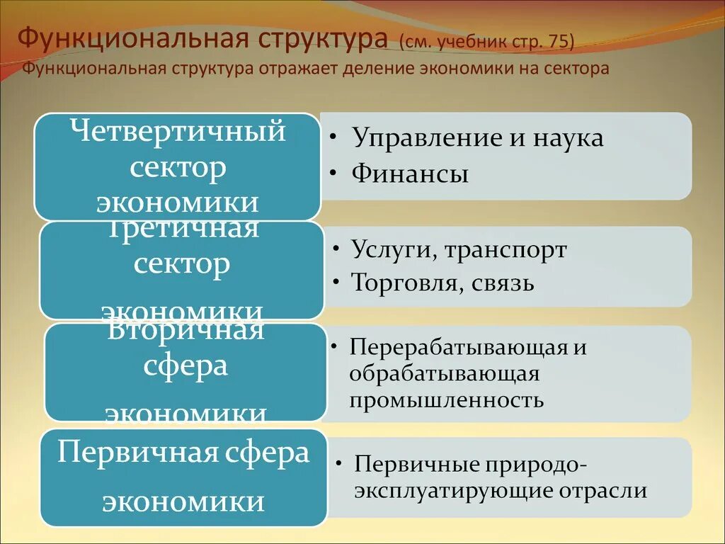 Территориально отраслевая экономика. Функциональная структура экономики России. Структура хозяйства. Функциональная структура э. География основных типов экономики на территории России.