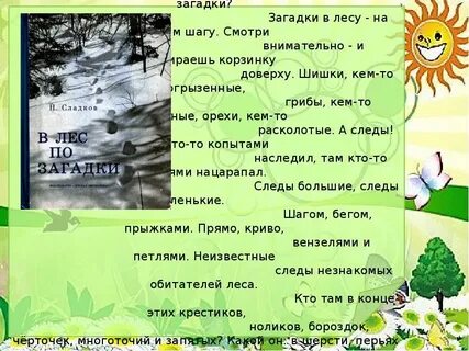 Загадка в лесу родился