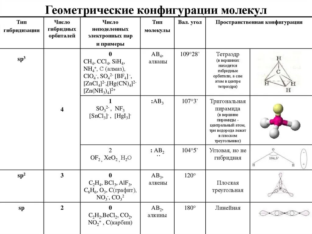 Гибридизация атомов в бутадиене 1 2. Пространственная конфигурация sp3-гибридизации:. So3 пространственная конфигурация. Пространственная конфигурация молекулы ccl4. Пространственная конфигурация молекулы h2s.