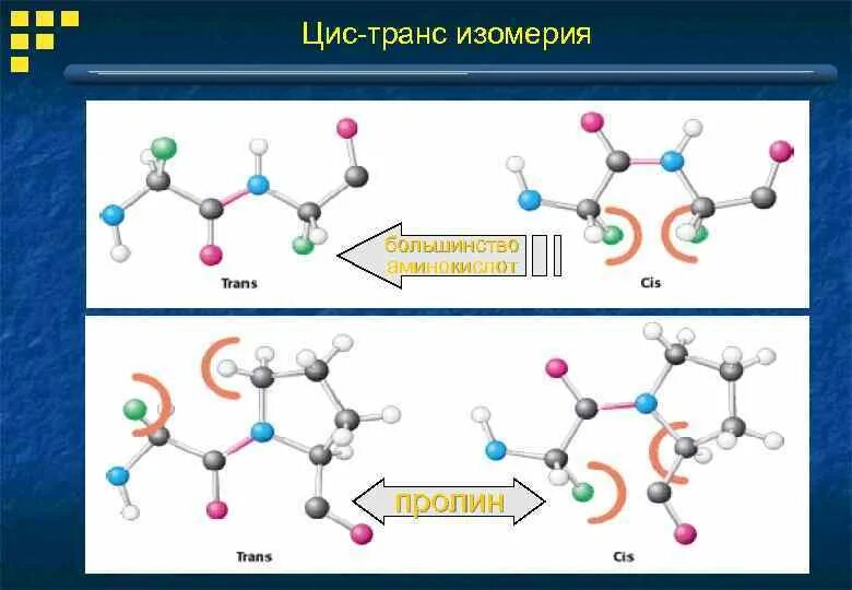 Цис аминокислота