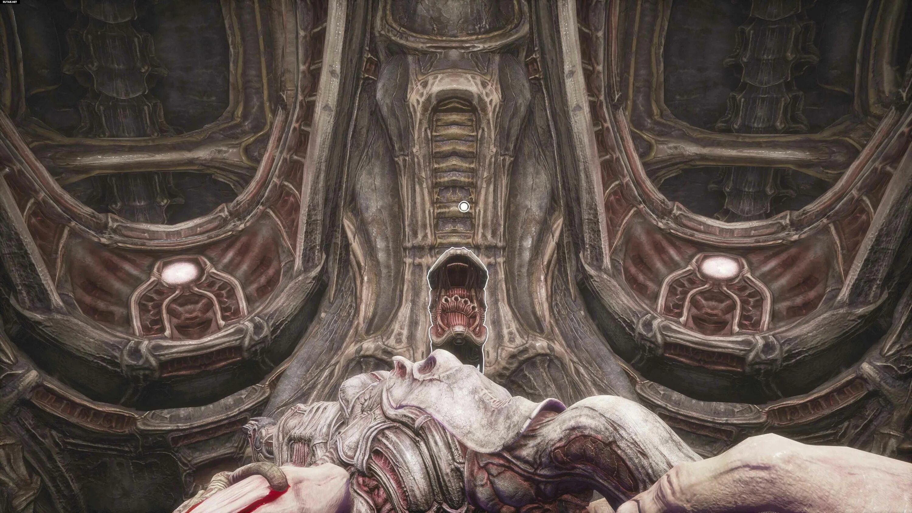 Дверь плоти. Открытая дверь. Alice madness returns королева плоти. Дверь плоти. Закрытая дверь.