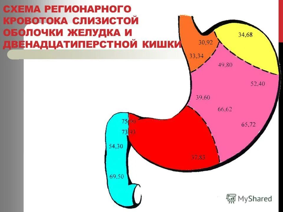 Основной путь удаления отравляющих веществ из желудка – это. Основной способ удаления отравляющего вещества из желудка:. Желудок курсовая работа. Желудок курсовая работа. Заболевания желудочнокигечного тракта.