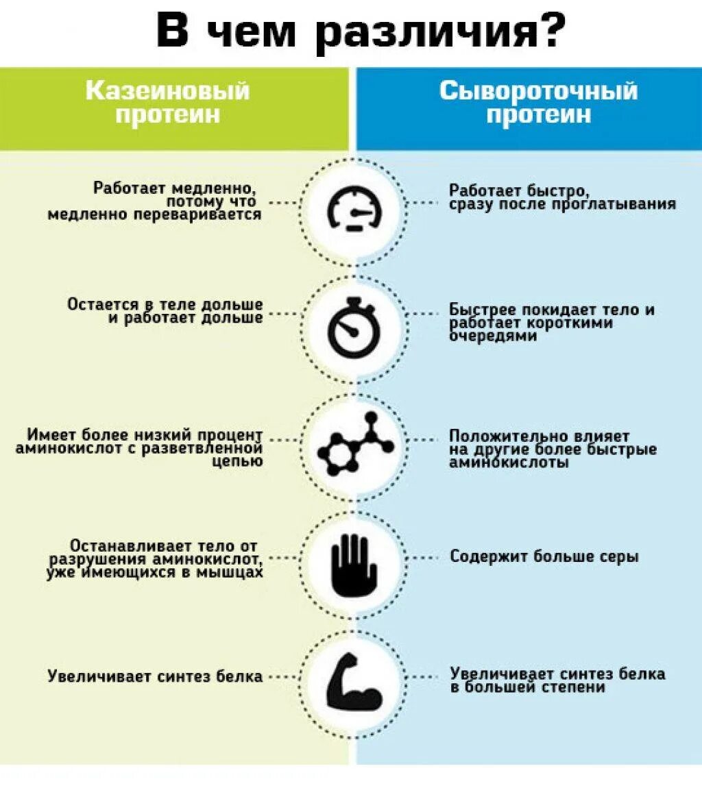 Отличие сывороточного протеина