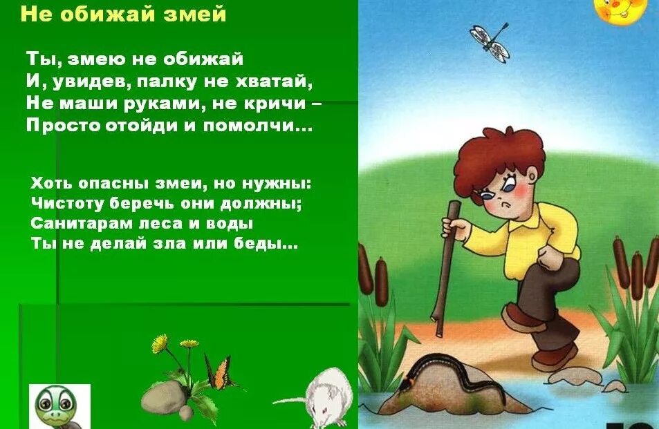 Песня не обижай ее не обижай зачем. Опасности в природе для детей. Опасности в лесу для детей. Правила поведения в лесу. Не обижай змей.