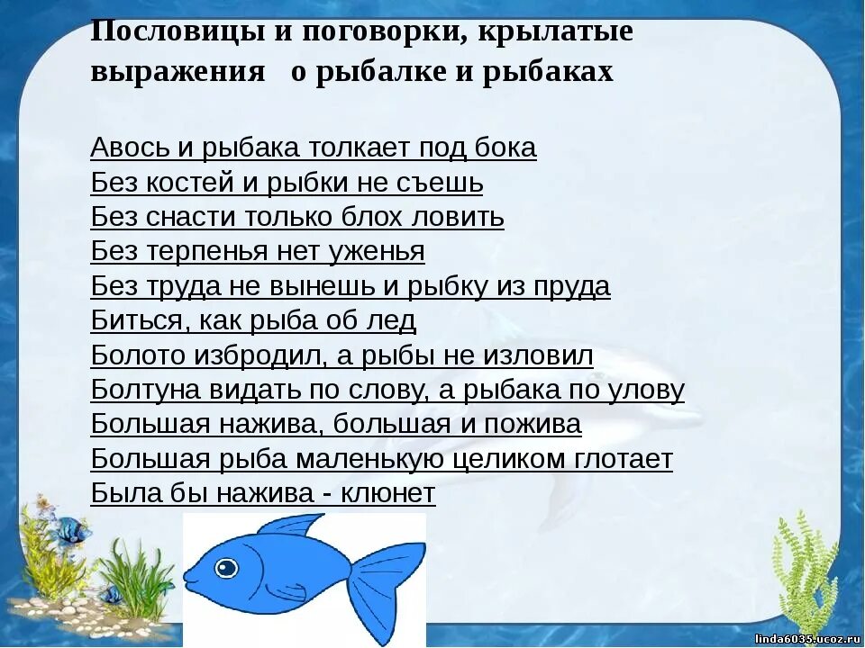 Ваня поймал 3 рыбки. Пословицы и поговорки о рыбе. Поговорки про рыбу. Пословицы и поговорки о рыбалке и рыбаках. Пословицы и поговорки про рыбалку.