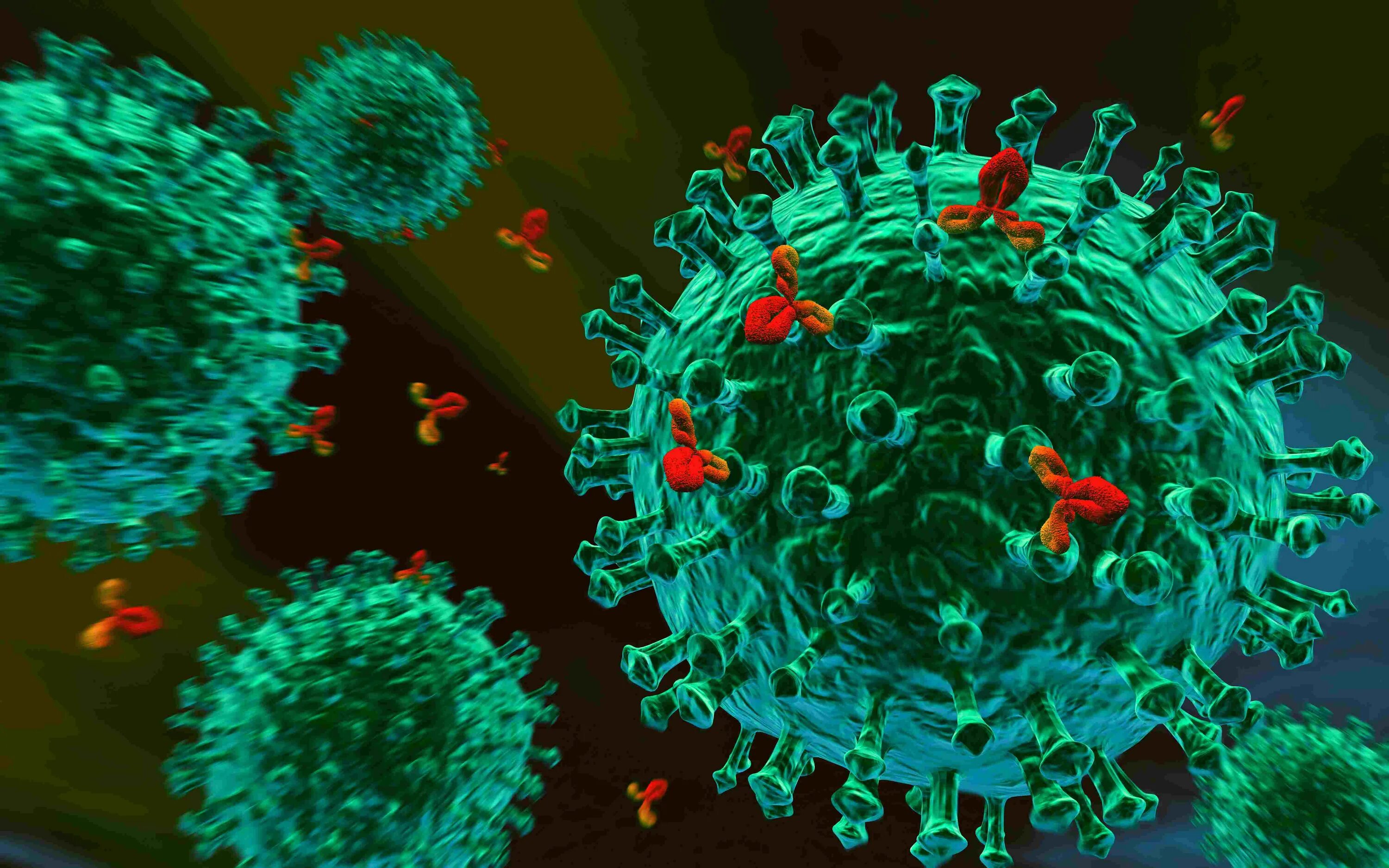 Local virus. Антиген антитело. Иммунитет антитела антигены. Антитела к коронавирусу под микроскопом. Белки антитела и антигены.