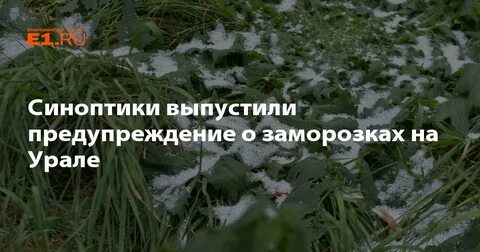 Заморозят ли карты