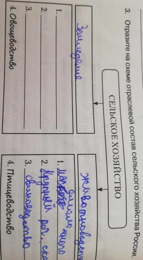 Сельское хозяйство россии таблица