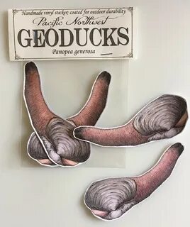 Geoduck Handmade Art Stickers image 0.