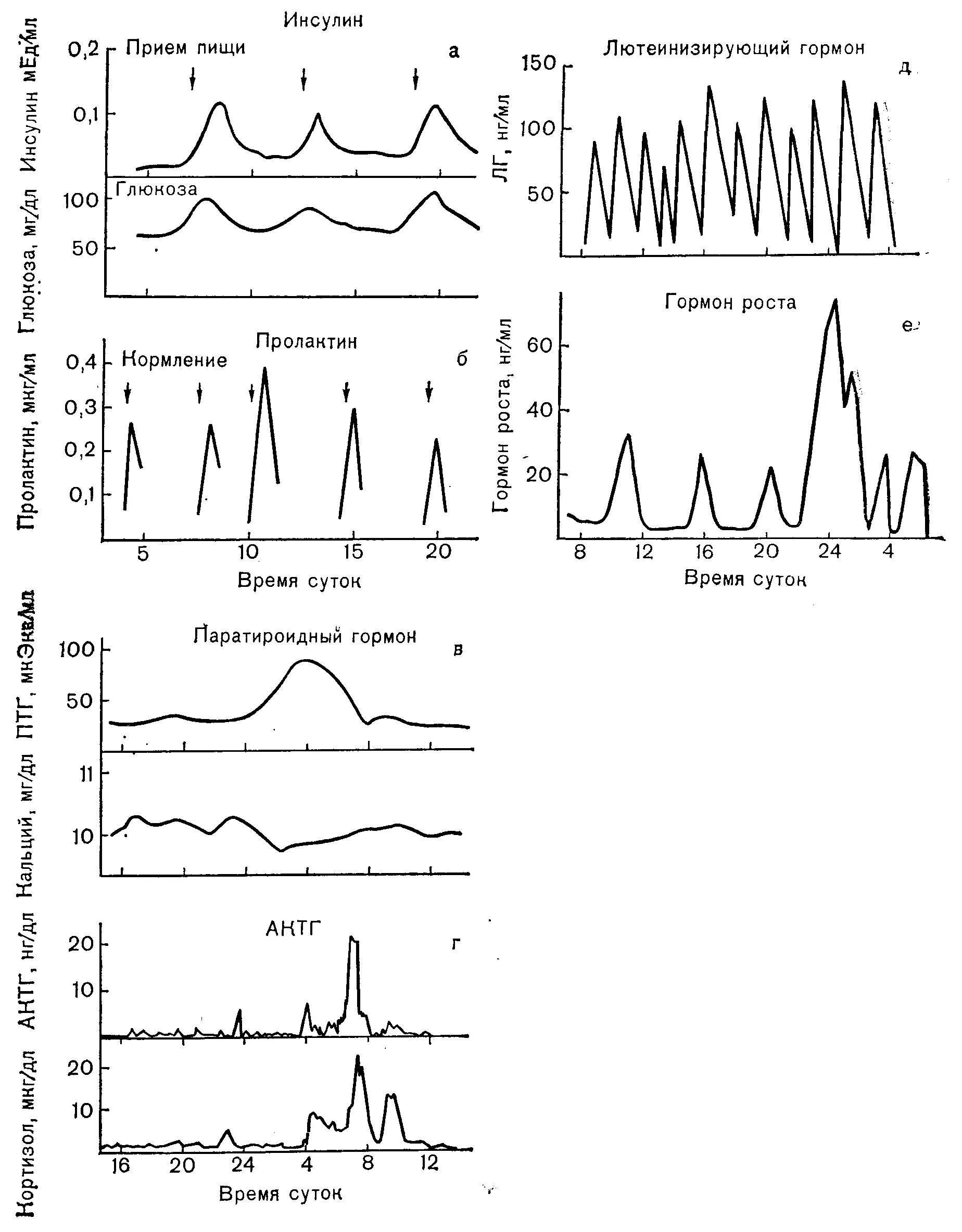 Частоты гормона роста. Циркадный ритм секреции гормонов. Суточный ритм секреции гормона роста. Циркадный суточный ритм секреции гормонов. Циркадианный ритм секреции СТГ.