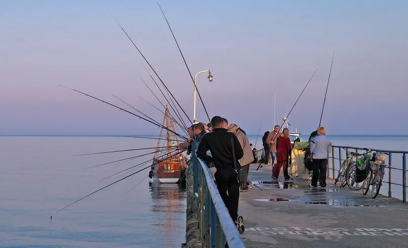 Зеленоградск рыбный. МОРЕВДОМ Коктебель. Рыбак на пирсе. Пристань для рыбалки. Морская рыбалка с берега.