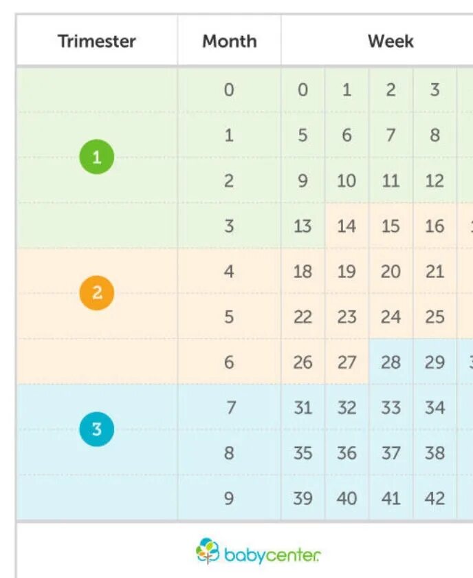 Календарь триместра. Триместры по месяцам и неделям календарь. Календарь беременности триместры. Календарь триместра в таблице. 39 неделя какой месяц