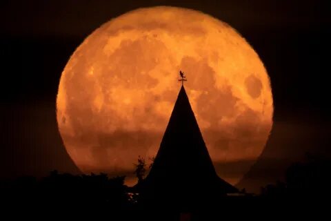 Фоторепортаж 