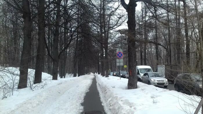 Поперечный просек. Поперечный просек 11с2. сокольники, 4-й лучевой просек, 4. поперечный просек 1г лабиринт. поперечный просек, 11 фсоп.