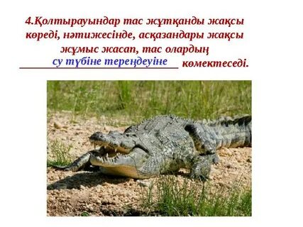 Порнодағы бөкселерді билеу