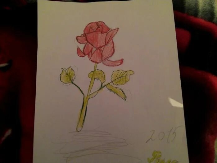 Включить розу 2. Красивые цветы карандашом. Красные розы. Рисуем розы пакетом. Две красные розы.