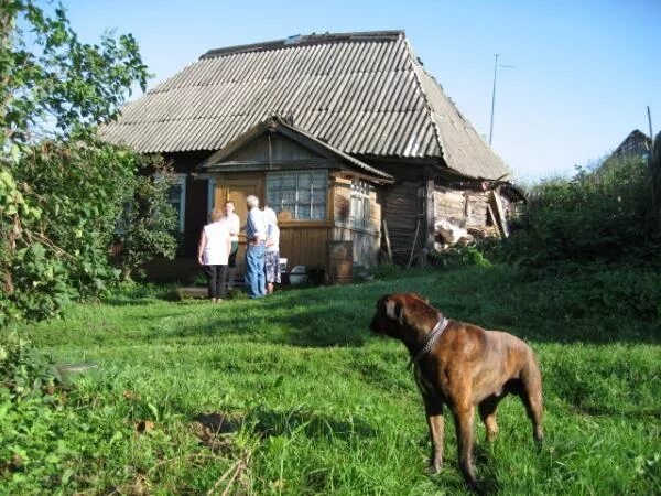 Рязанская область деревня Бортное. Деревня верховая Сухиничский район. Бортное Рыбновского района. Радождево Сухиничский район.