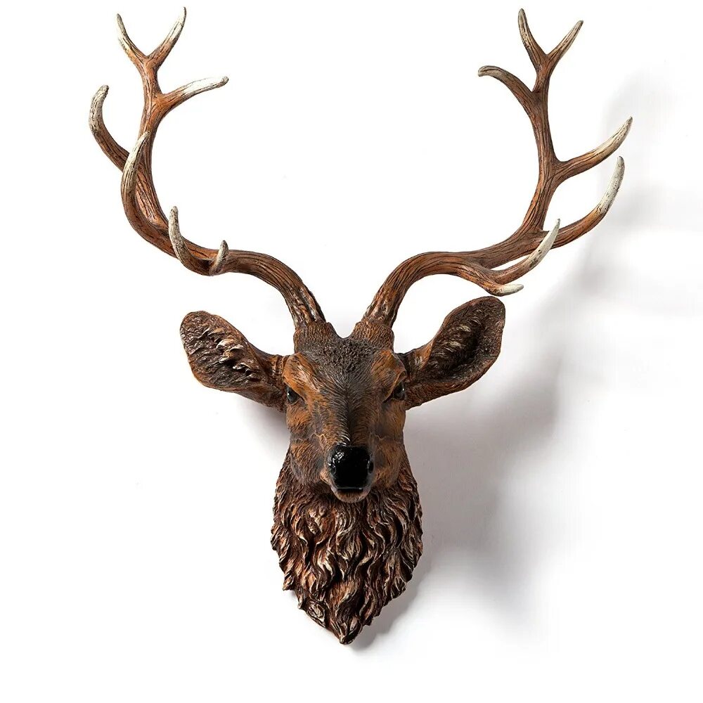 Голова лося чучело с рогами. Голова оленя декор. Очертание головы оленя. Мозг оленя. Силуэт оленя.