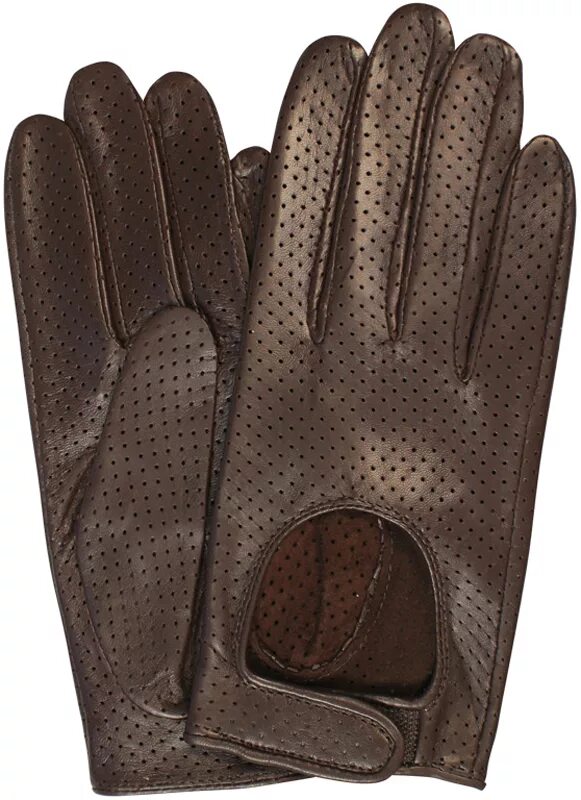 Перчатки no 8. Stella перчатки женские Stella 49162 g, коричневые. Перчатки кедр коричневые артикул 8009364. Перчатки с перфорацией мужские. Кожаные перчатки с перфорацией женские.