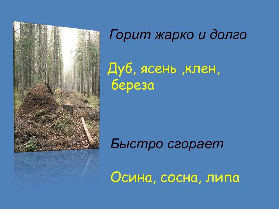 Медленно сгорая. Липа горит. Что жарче горит береза или осина. Как быстро сгорает осина. Что жарче горит клён или берёза.