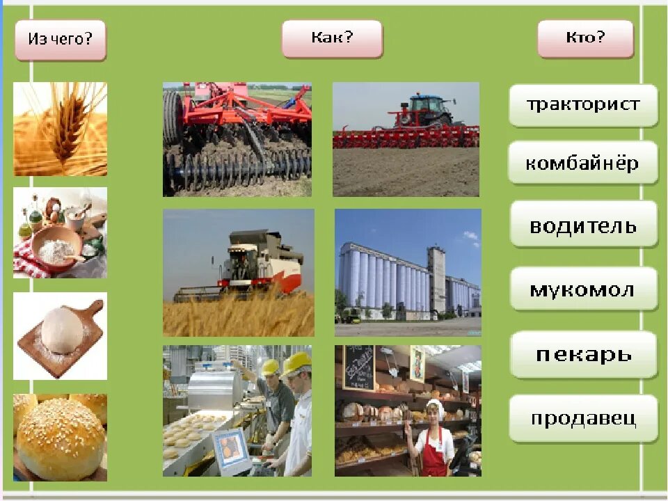 Сельскохозяйственные профессии. Профессии для изготовления хлеба. Профессии которые выращивают хлеб. Профессии людей которые выращивают хлеб. Работники различных отраслей экономики