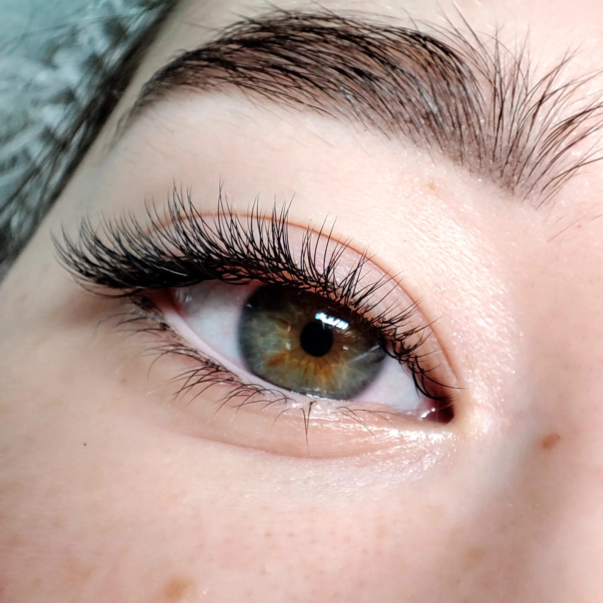 Shu Uemura S Curl Eyelash Curler - Eye Makeup Blog Eyelash extensions, Eyelashes
