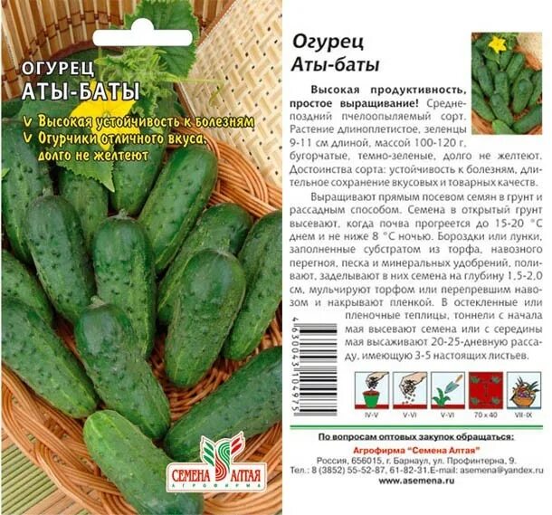 Семена огурцов семена алтая на к. Семена огурцов семена алтая на к. Огурец аты баты семена алтая. Семена огурец манул f1 манул. Огурцы семена маленькие.
