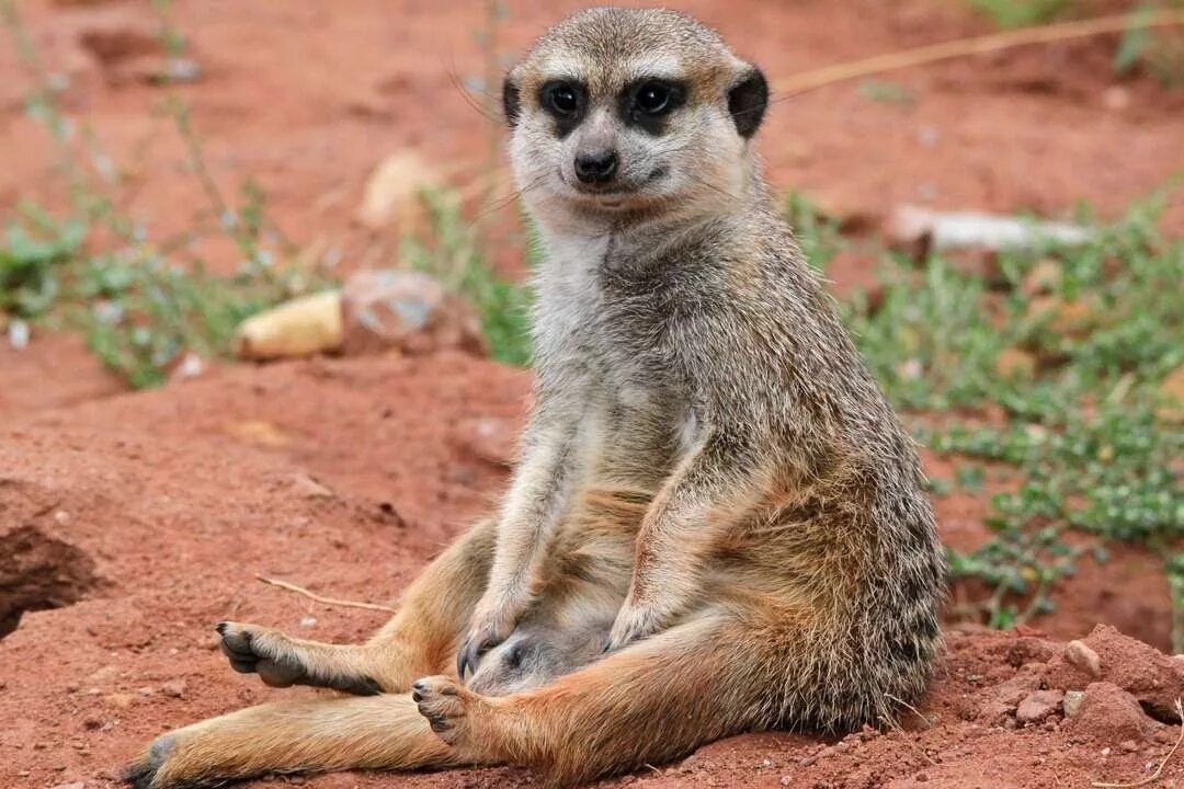 i?id=00d87bec7ace292b481c1aa5bba73399_l-