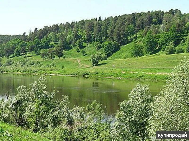 Река ока дугна рыбалка. Калуга ока дугна. Окский водозабор в калуге. Река ока дугна. Мост в дугне калужская область.
