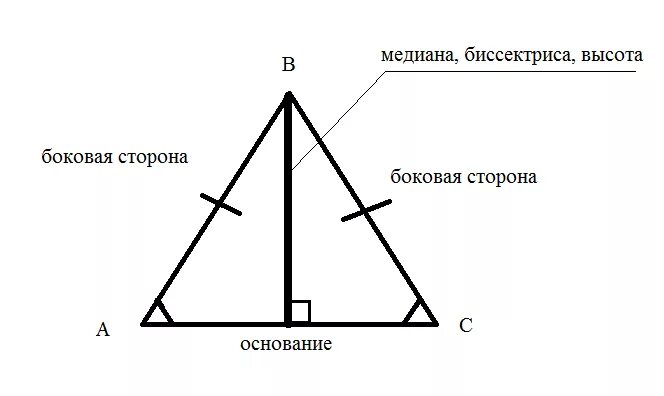 Равносторонний треугольник Медиана биссектриса и высота. Высота и Медиана в равностороннем треугольнике. Медины в растороннкм треугольник. В равностороннем треугольнике высота является медианой.