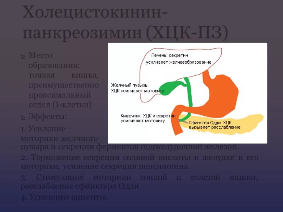 Гормона холецистокинина:. Секретин в желудке. Желчный пузырь сфинктер Одди. Панкреозимин гормон.