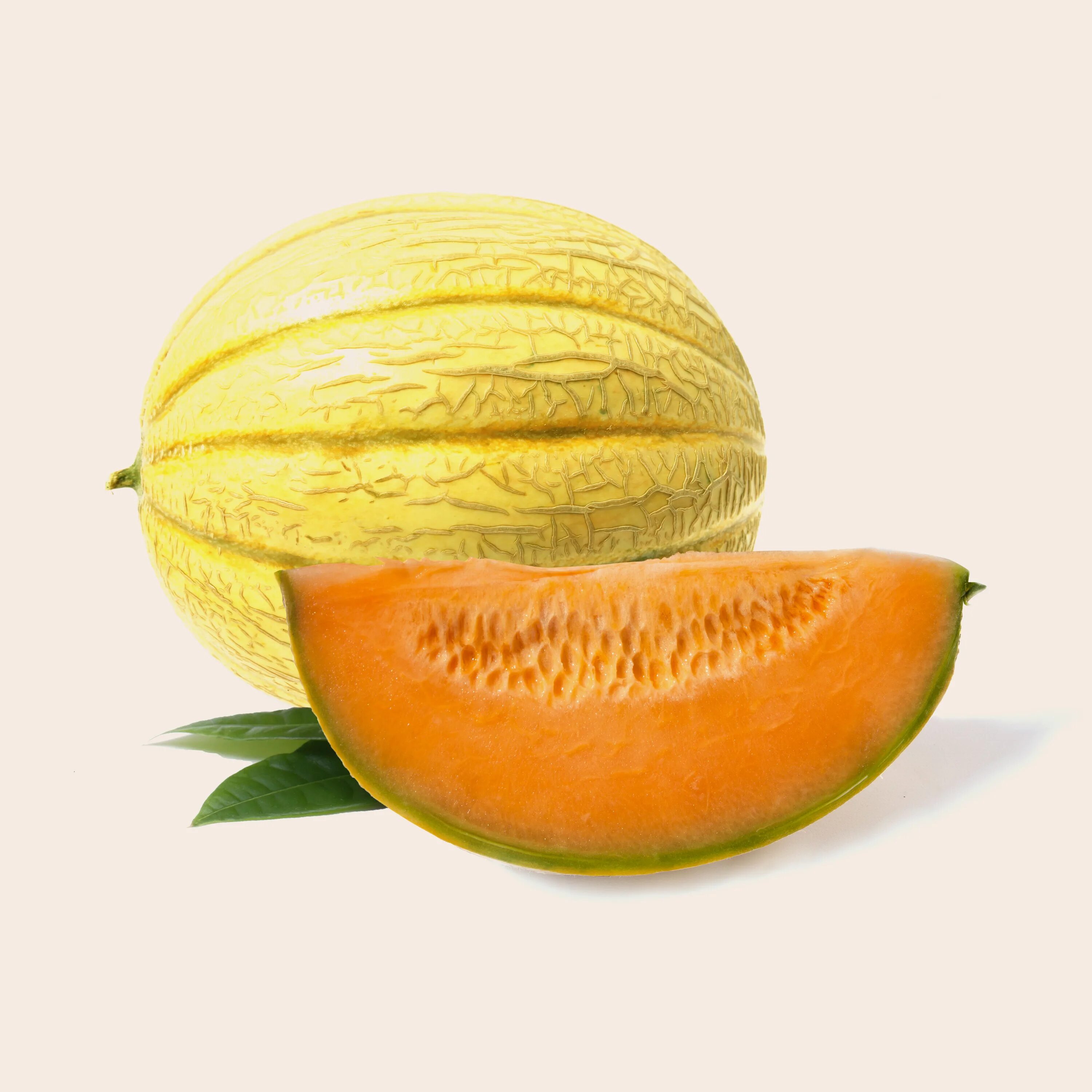 Дыни melon. Дыня канталупа зеленая. Канталупа мускусная дыня. Канталупа фрукт. Мускатная дыня канталупа.