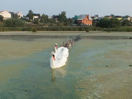 Вода на левом берегу