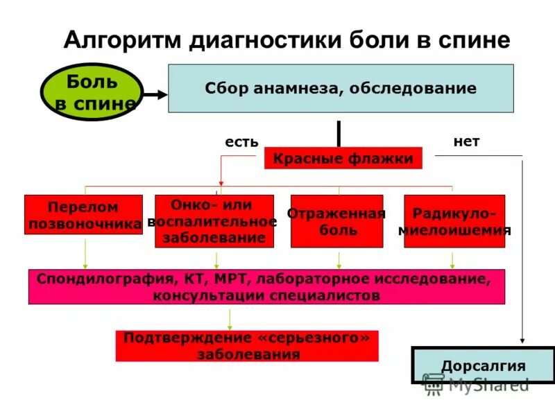 Боль в спине диагноз