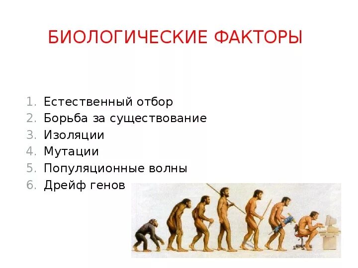Факторы эволюции человека, расы. Биологические факторы эволюции человека. Факторы эволюции человека 11 класс биология. Перспективы эволюции человека.