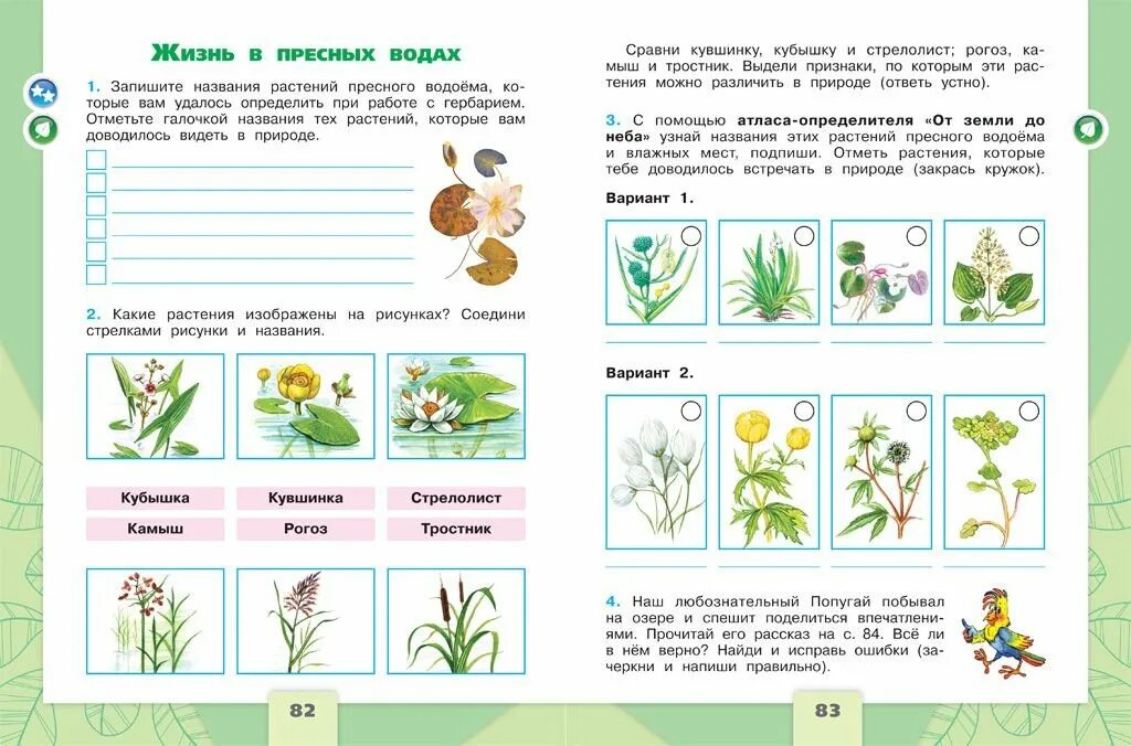 Окружающий мир названия групп