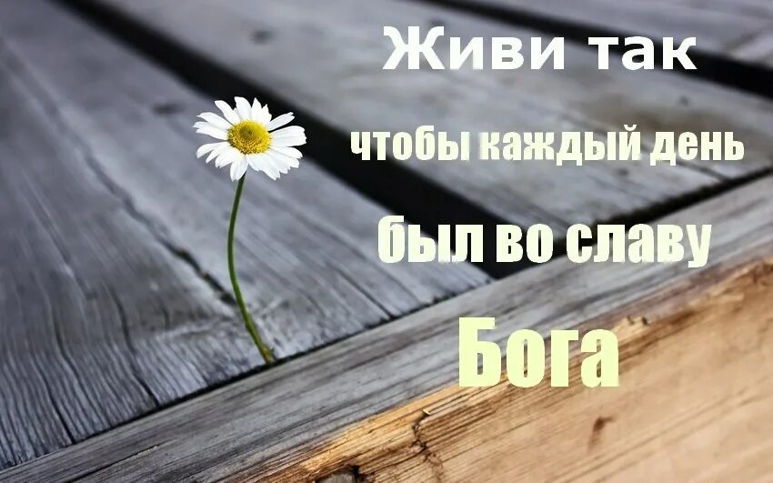 Жизнь продолжается картинки. А жизнь продолжается. Жизнь продолжается картинки с надписями. Жизнь продолжается надпись. Он прошел несмотря на нас